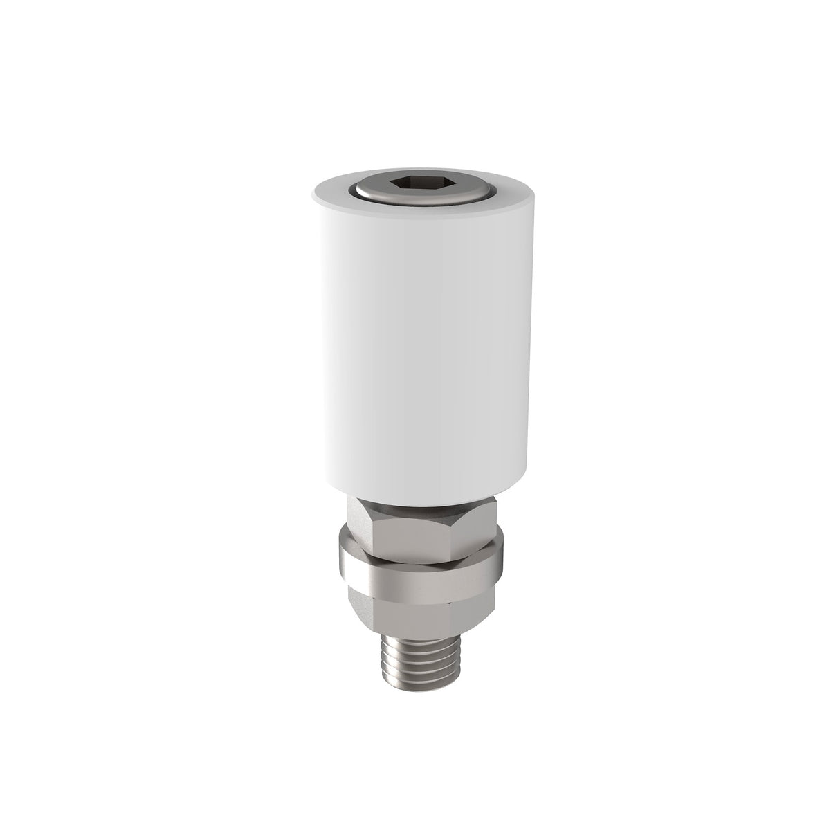 Nylon-Führungsrolle, INOX, D22mm