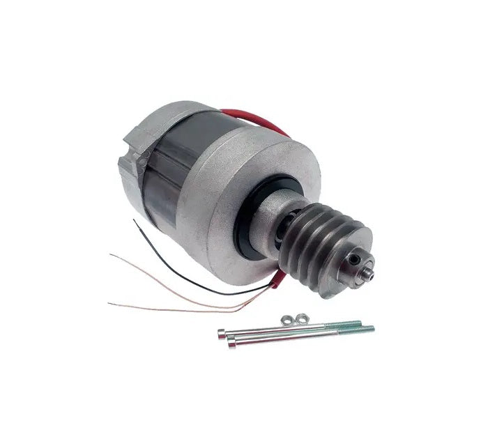 Motor for BX-A (rotor+stator+worm)