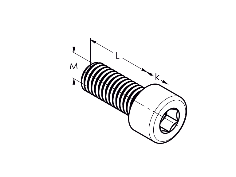 Zylinderschraube mit Innensechskant, AISI304, M10x60